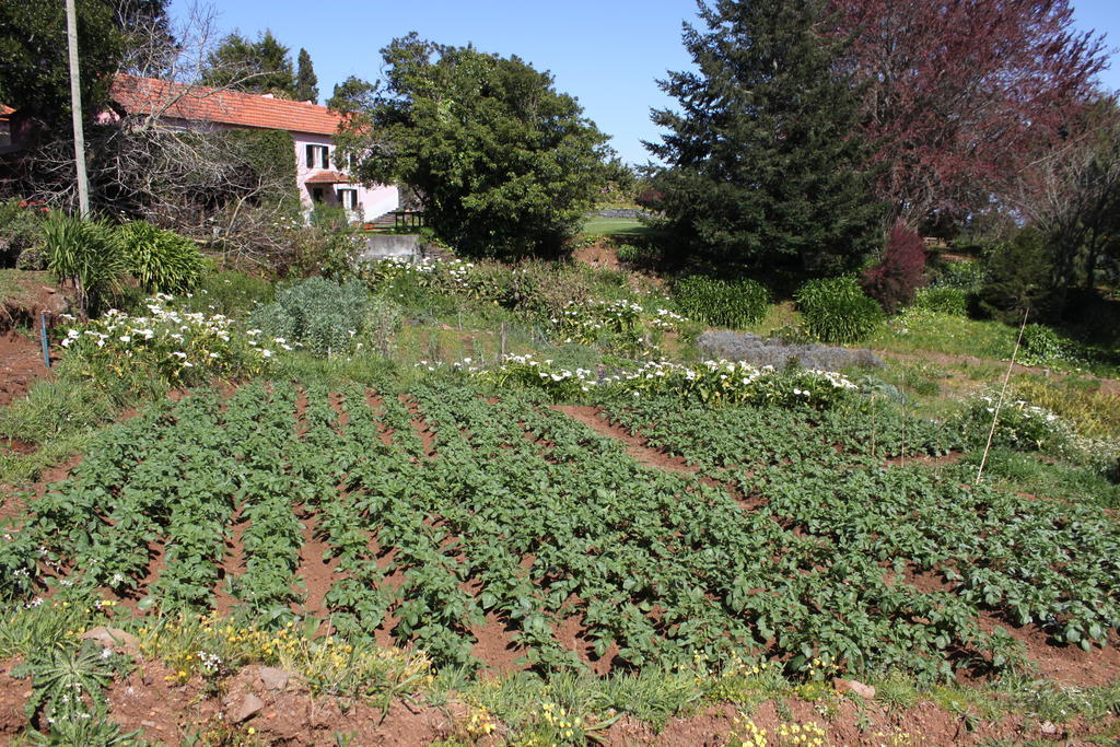 Quinta Das Faias 卡马查 外观 照片