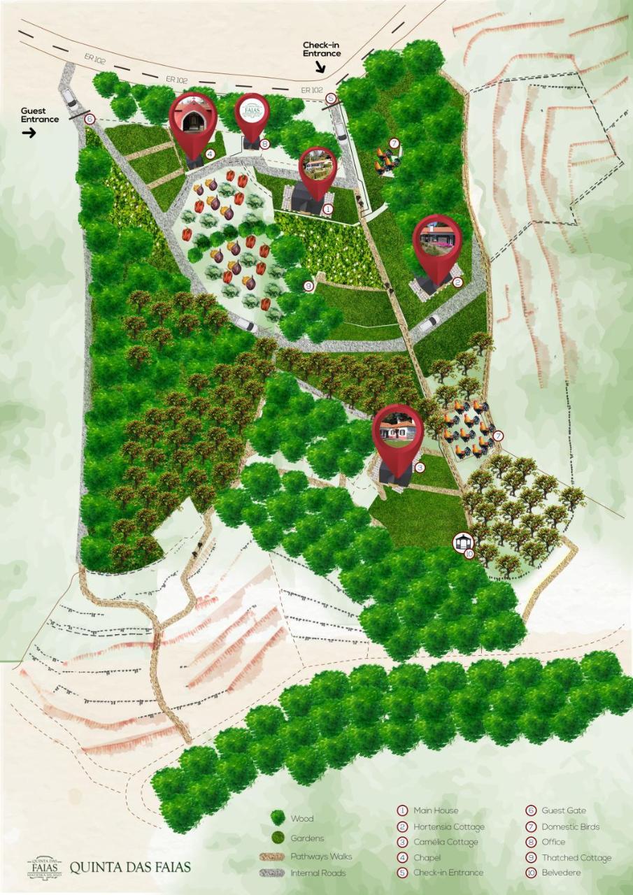 Quinta Das Faias 卡马查 外观 照片